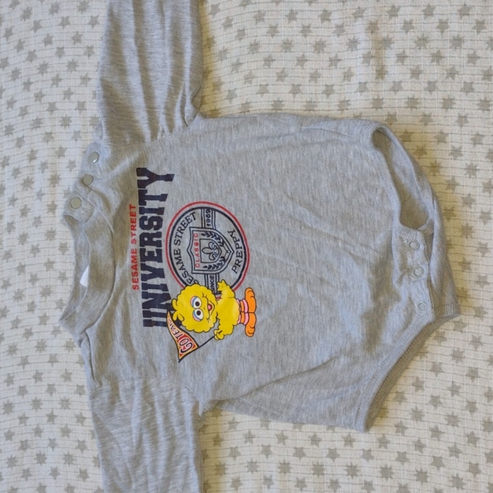 Vintage 2002 Sesame Street University Long-Sleeve Onesie